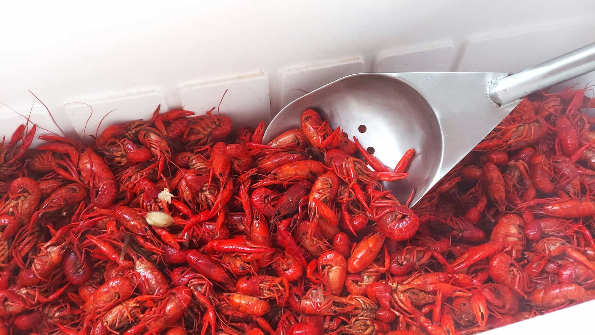 Dine fresh in Lafourche LA Cajun Bayou's Fresh Markets