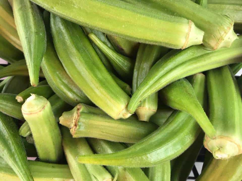 Chicken Okra Gumbo Recipe