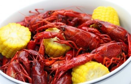 Nick's Seafood | Louisiana's Cajun Bayou