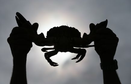 Marsh Rat Fishing Guide | LA Cajun Bayou