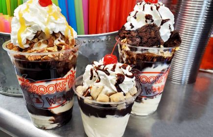 Brooke's SnoWorld  | LA Cajun Bayou