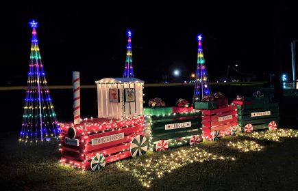 Christmas in the Park | LA Cajun Bayou