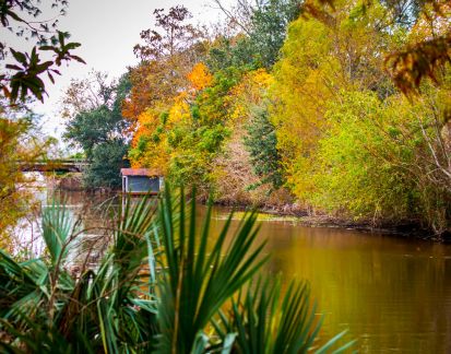 Louisiana's Cajun Bayou Gives Thanks | LA Cajun Bayou