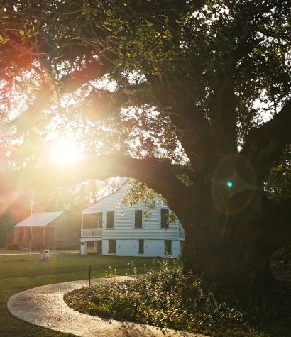 Oaks & Origins: A Bicentennial Celebration of the E.D. White Historic Site