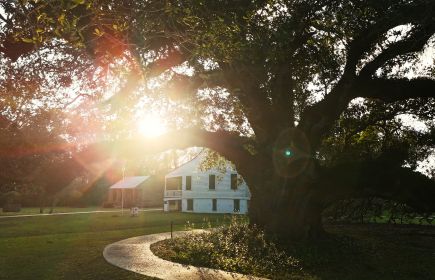 Oaks & Origins: A Bicentennial Celebration of the E.D. White Historic Site