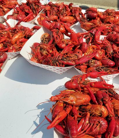 Golden Meadow Crawfish Boil, Music Fest, and Vendor Show | LA Cajun Bayou