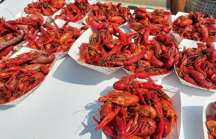 Golden Meadow Crawfish Boil, Music Fest, and Vendor Show | LA Cajun Bayou