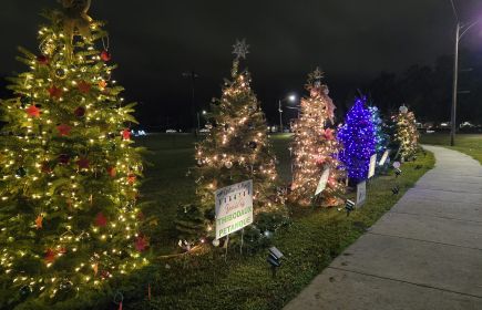 Christmas in the Park | LA Cajun Bayou