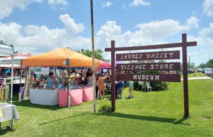 Laurel Valley Fall Festival | LA Cajun Bayou